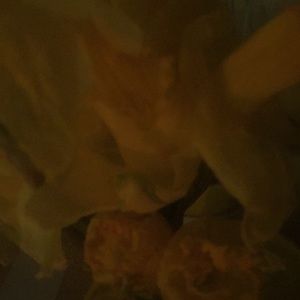 Meet your Posher, Zaileen